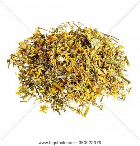 Dried Melilotus Officinalis Yellow Sweet Clower Isolated On White