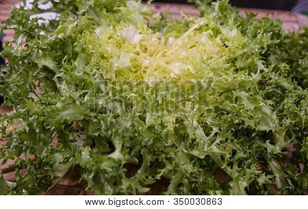 Organic Escarole Salad On The Market Place