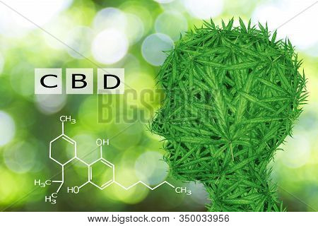 Image Cannabis Of The Formula Cbd.marijuana Head And Cannabis Consumer Symbol As A Human Face Made O