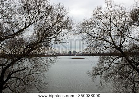 Black Tree Branches Without Leaves On The Background Of The Lake And Sky. In The Distance, Multi-sto