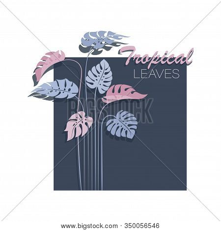 Tropical Jungle. Monstera Leaves. Tropical Plant, Isolated Vector Illustration Of An Exotic Flower O