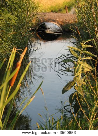 สตรีม