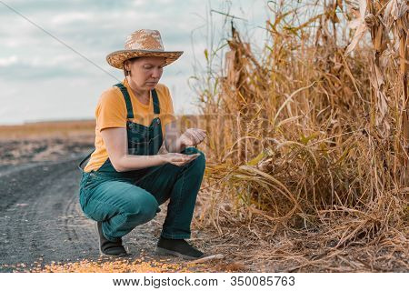 Disappointed Female Corn Farmer In Bad Condition Cornfield After Poor Harvest Season Of Crops