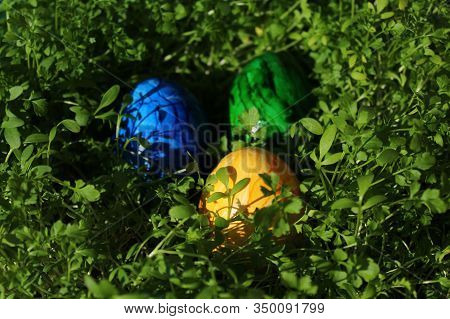 Beautiful Coloured Eastereggs In Cress In The Eastertime