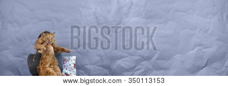 Girl No Face With Red Cat On Crumpled Gray Paper Background With Copyspace. Frendship Between People