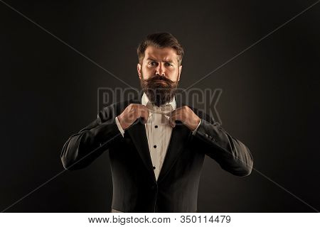 Bearded Man With Bow Tie. Well Dressed And Scrupulously Neat. Hipster Formal Suit Tuxedo. Difference
