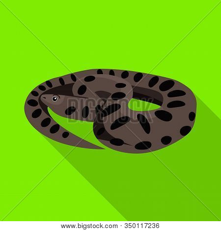 Isolated Object Of Python And Reptile Symbol. Web Element Of Python And Long Vector Icon For Stock.