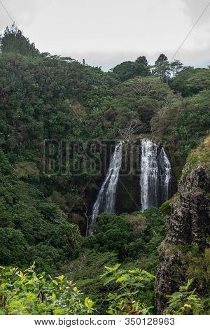 Nawiliwili, Kauai, Hawaii, Usa. - January 16, 2020: White Water Opaekaa Falls Surrounded By Green Fo