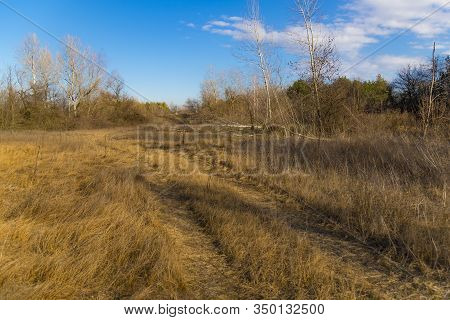 Steppe Forest , Forest-steppe, At Early Spring At Nice Sunny Day. Winding Dirt Road Among The Dry Gr