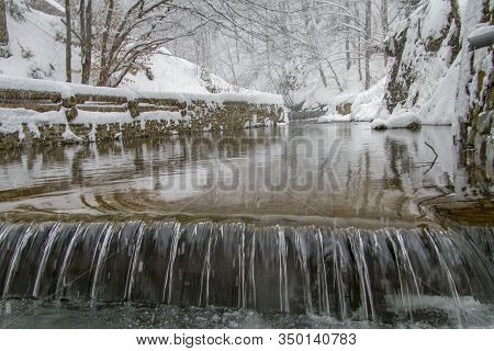 Alpine River In The Village Of Lumshory In The Home Zakarpattia Region