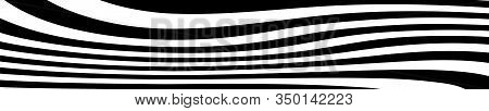 Abstract Black And White Curved Lines Vector. Wide Background Dynamic Wavy Distorted Lines Template