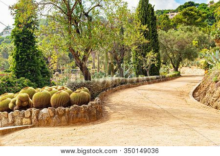 A Path Among Cacti And Succulents In The Pinya De Rosa Succulent Garden In Spain.
