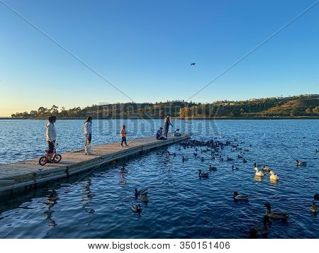 People On A Little Wood Pier Feeding Ducks And Birds At Miramar Lake Before Sunset Twilight San Dieg