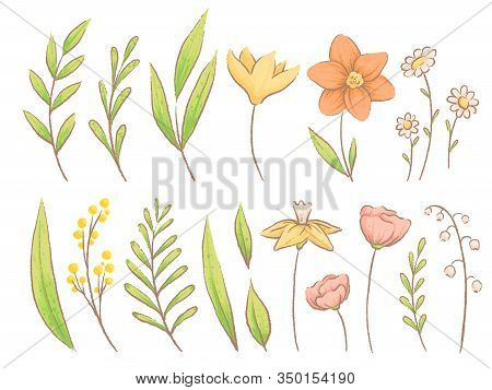 Set Of Spring Herbs, Plants And Flowers. Imitation Of Handmade Watercolor