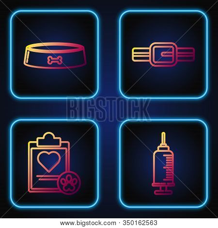 Set Line Syringe With Pet Vaccine, Clipboard With Medical Clinical Record Pet, Pet Food Bowl And Col