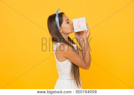Someday Dreams Come True. Summer Season. Buy Gift. Online Shopping. Perfect Gift Concept. Cute Small