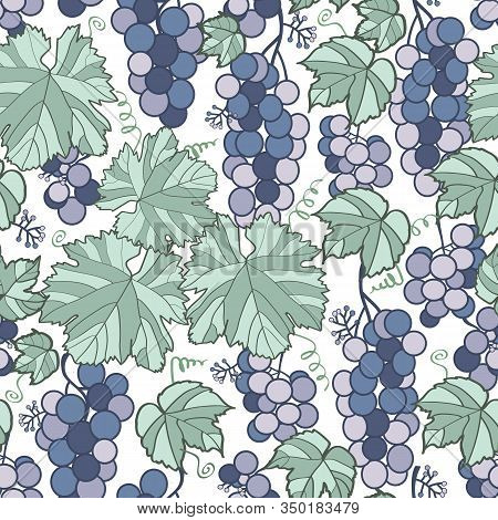 Vector Green And Puple Grapes Seamless Pattern Print Background.