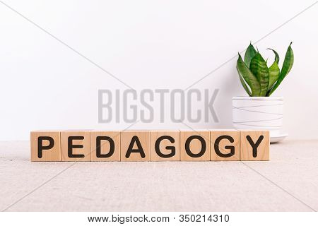 Pedagogy Word Made With Building Blocks On A Light Background