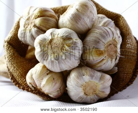 Knoflook hoofden porren uit linnen tas.