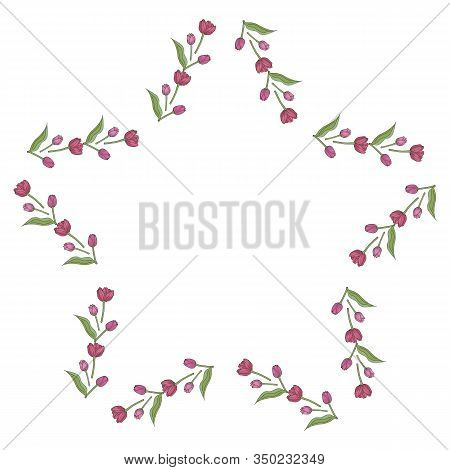 Star Frame With Lovely Pink Tulips On White Background. Isolated Frame Of Flowers For Your Design.