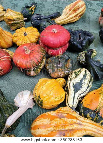 Colorful Pumpkins Photographed In A Banquet Of An Italian Local Market