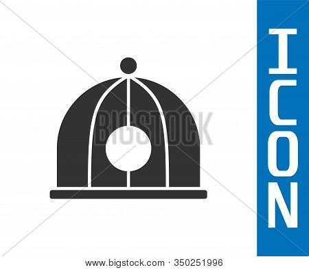 Grey Chinese Hat Icon Isolated On White Background. Vector Illustration