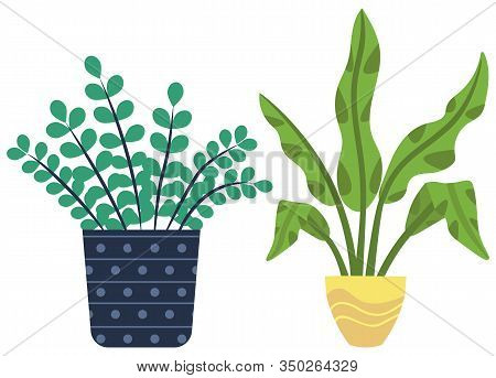 Flowers In Vases, Floral Decor For Home Flat Style Flourishing On Branches, Plant With Frondage, Ten