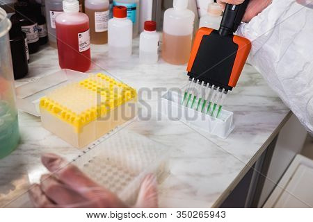 A Scientist Uses A Multi-pipette For Research In The Laboratory. Working With Chemicals. Scientific 