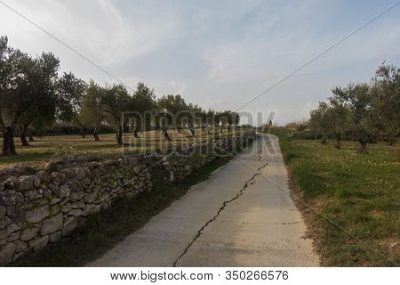 The Surroundings Of The Town Of Sant Mateu