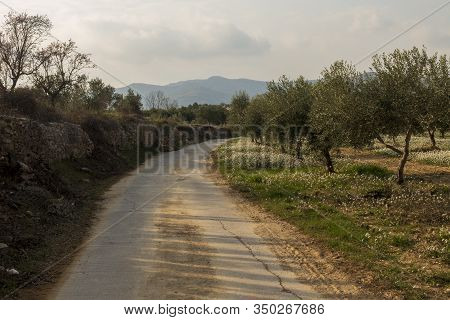 The Surroundings Of The Town Of Sant Mateu