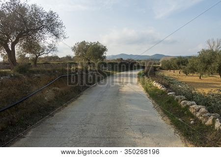 The Surroundings Of The Town Of Sant Mateu