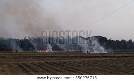 Slash-and-burn Agriculture. Fire-fallow Cultivation. Fire-fallow Cultivation. Air Quality Policy .cl