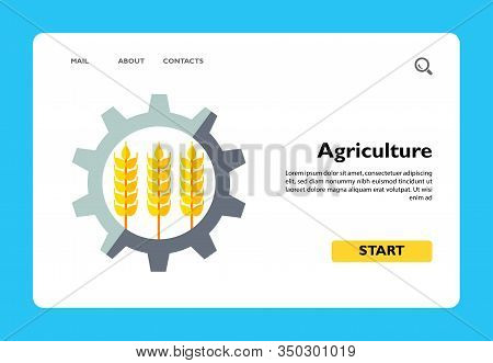 Icon Of Three Wheat Ears In Gear. Industrialization, Agricultural Production, Mechanism. Agriculture