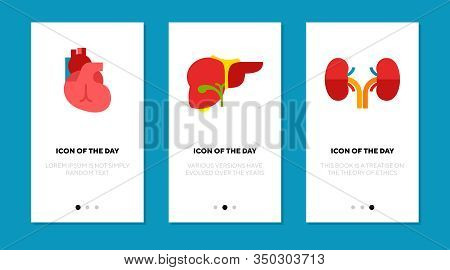 Organs Flat Icon Set. Heart, Liver, Kidney Isolated Sign Pack. Anatomy, Human Body, Health Concept. 