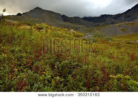 Hatcher Pass In The Talkeetna Mountains Of Alaska