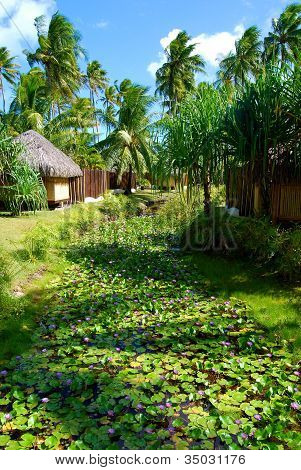 Garden saarella Bora Bora