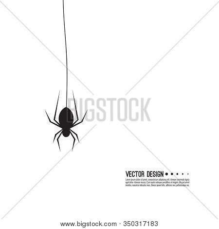 Vector Illustration Of Creepy Spider Web And A Spider. Decoration Cobweb For Halloween