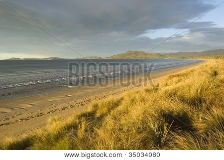 7 Mile Beach
