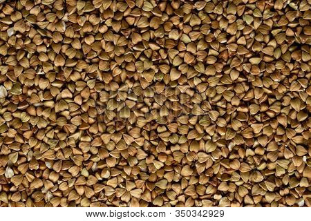 Grains Of Raw Green Buckwheat. Background Flat-lay