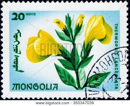 Saint Petersburg, Russia - February 06, 2020: Postage Stamp Issued In Mongolia With The Image Of The
