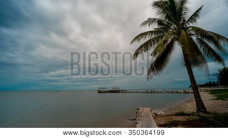 Palm Tree And  Walkeway In Front Of Dilapidated Old Fishing Dock Collapsing Into The Sea In Pak Nam 