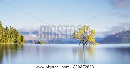 That Wanaka Tree New Zealand. Lone Tree In Lake. Wanaka Tree In Lake Wanaka South Island New Zealand