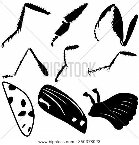 A Set Of Nine Different Insect Parts. Paws And Chitin Of Insects. Vector Illustration.