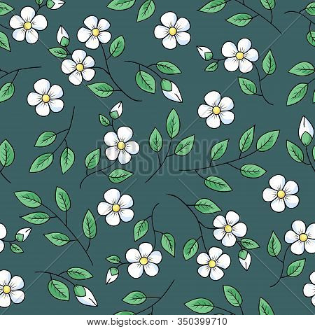 Spring White Flowers And Leaves. Ditsy Floral Seamless Pattern. Hand-drawn Doodle Cherry Or Apple Tr