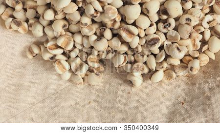 Job's Tears, Also Known As Adlay And Coix On Calico Background.