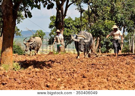 Pindaya, Myanmar - Nov 07, 2019: Working People Of Myanmar, Former Burma On The Road From Heho To Pi