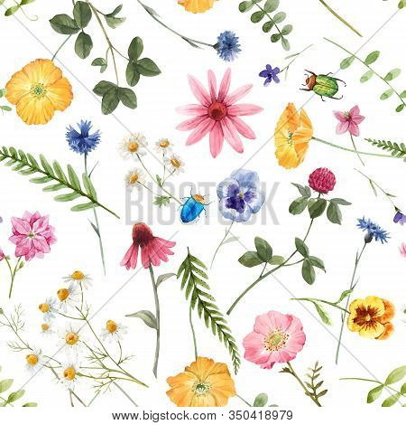 Beautiful Vector Floral Summer Seamless Pattern With Watercolor Hand Drawn Field Wild Flowers. Stock