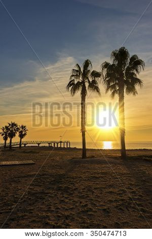 Two Palm Trees On A Beach At Sunrise