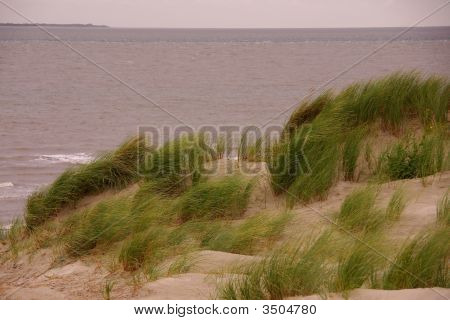 Dunas