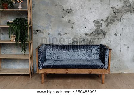Ancient Couch, Domestic Plant And Books On Shelves. Vintage Sofa With Velour Textile Cover, Grey Bri